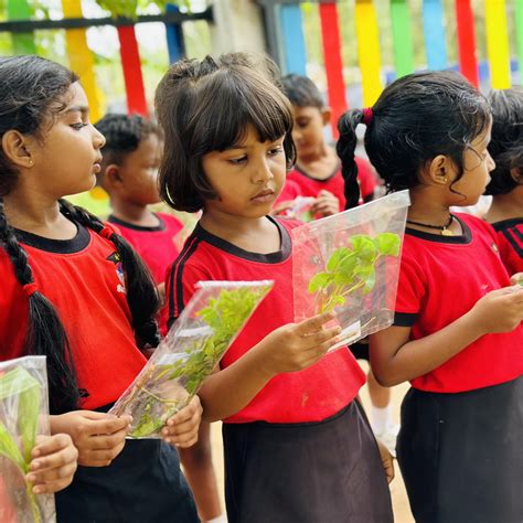 Unveiling the Secrets of Pronto Gampola's Success